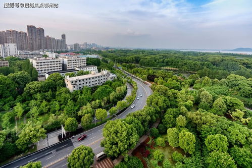 嘉興平湖愛情花漫里官方網站 開啟浪漫生活，歡迎您的到來
